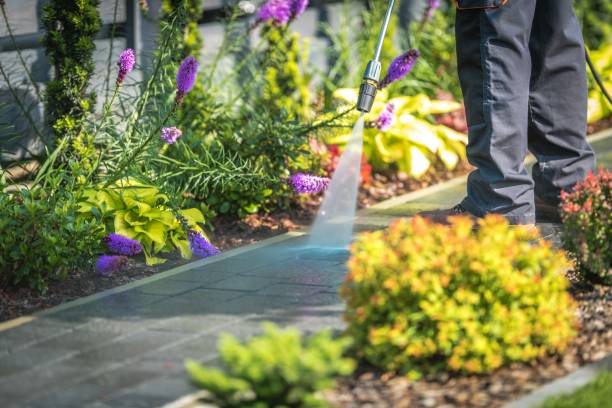 Professional  Pressure Washing Services in Sherrelwood, CO